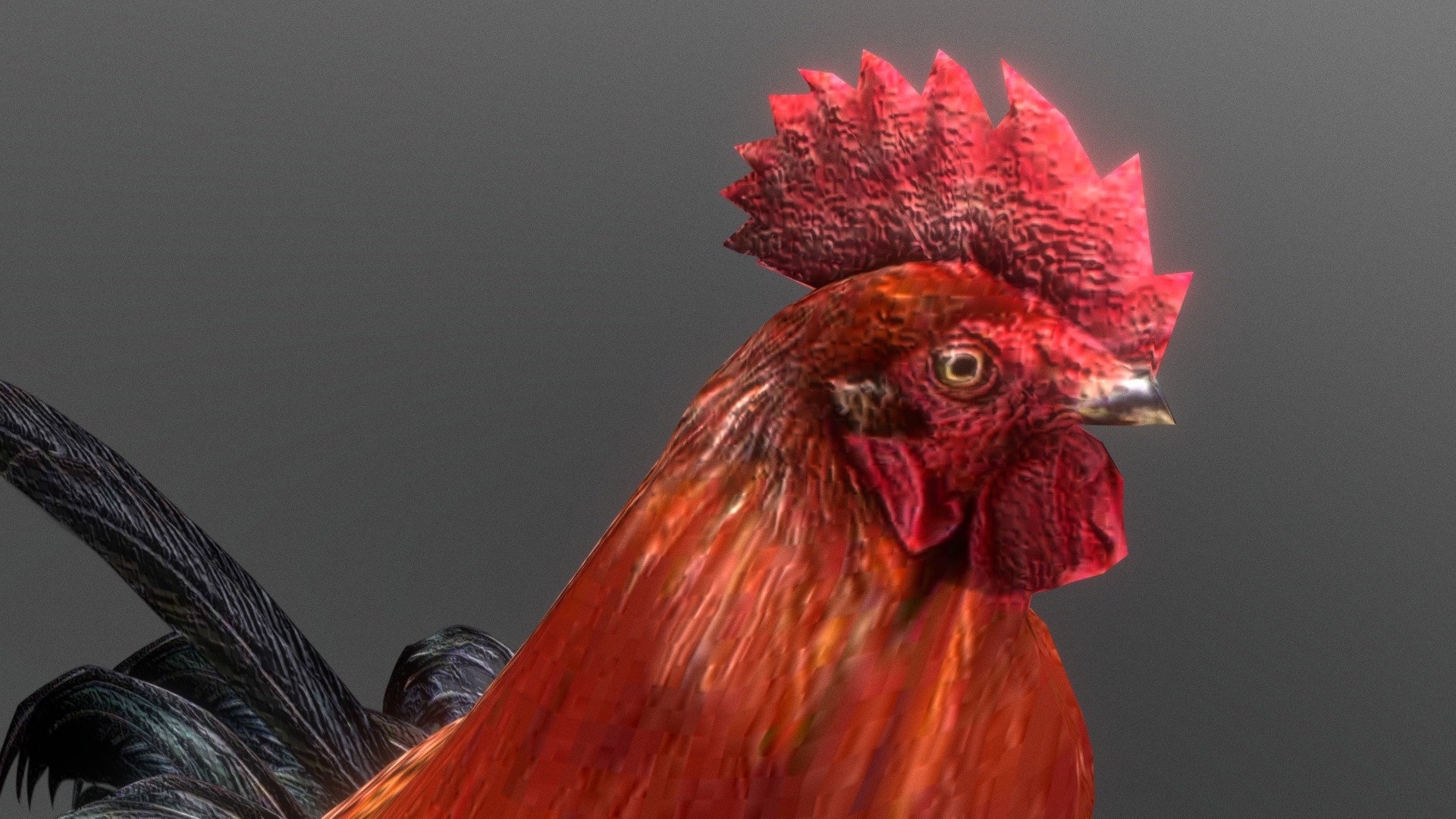 A chicken in low poly