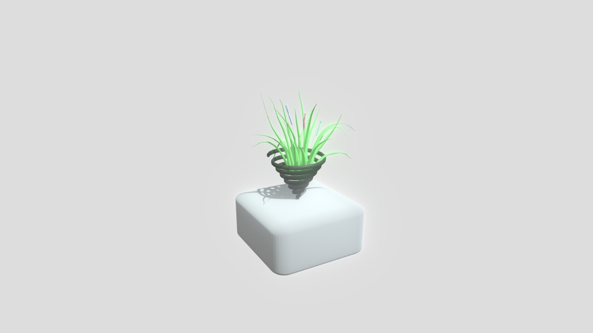 grass