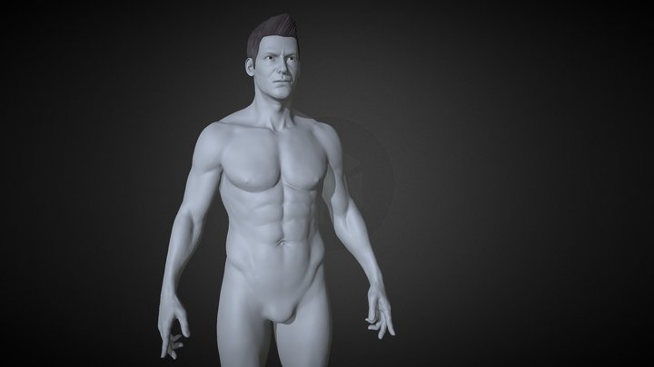 Anatomy study 3D Model