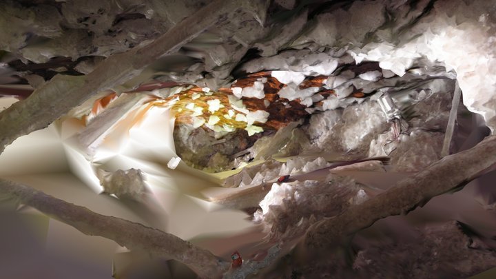 The Giant Crystal Cave of Naica 3D Model