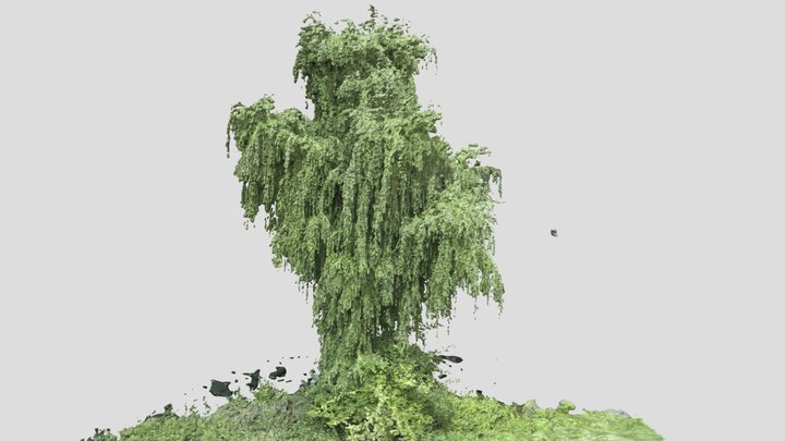 Hang Boom – Modèle 3D gratuit STL