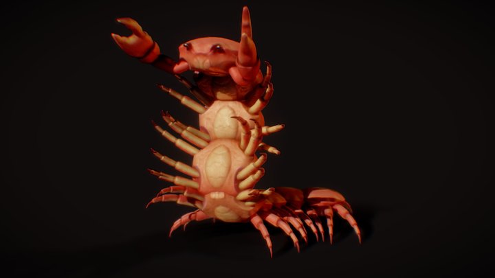 Crab centipede