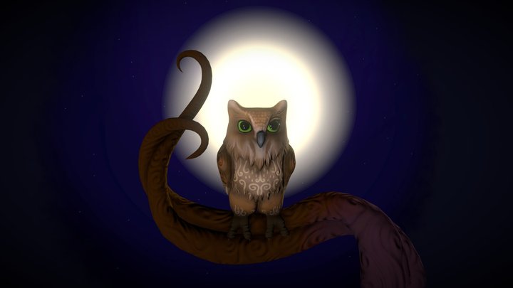 Night Owl 3D Model