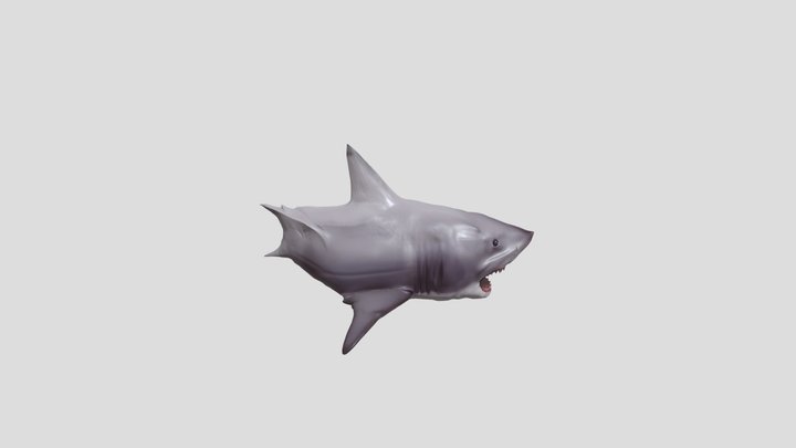 Jaws 3-D Brucetta Great White Shark!