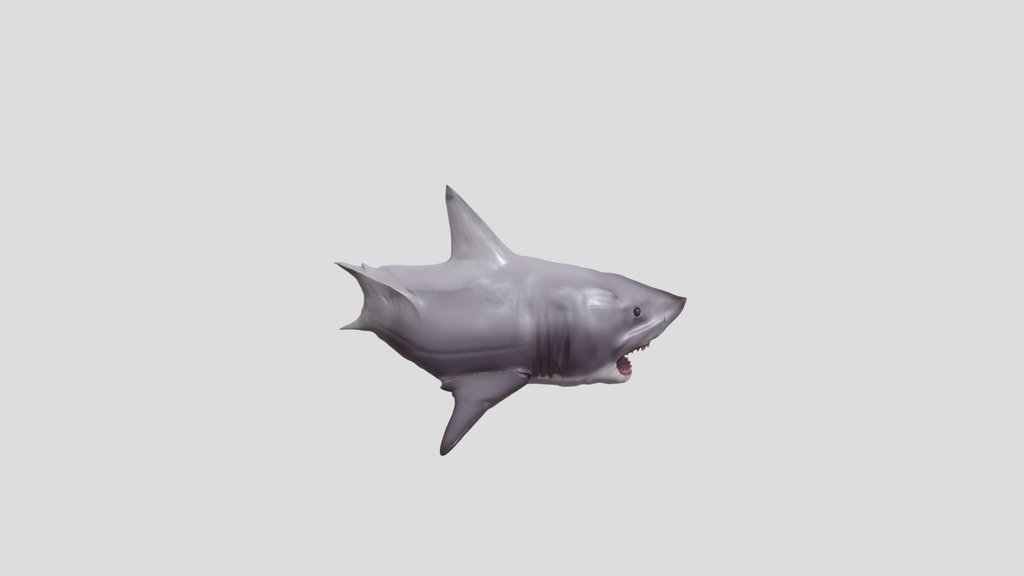 Jaws 3-D Brucetta Great White Shark!