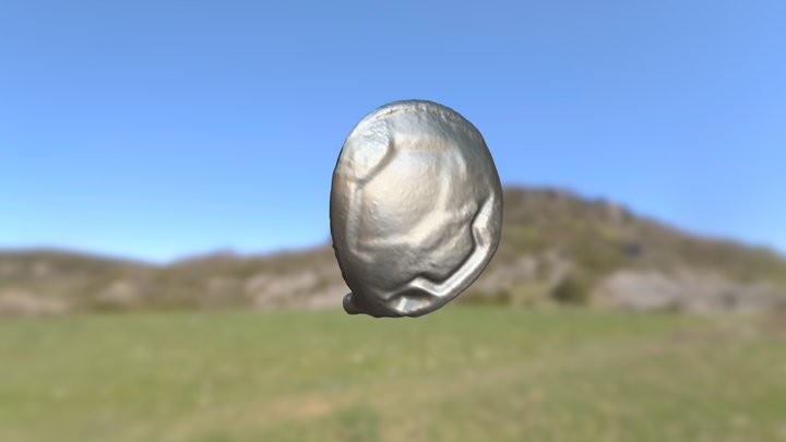 TaylorMade RBZ vs Callaway GBB – Free 3D Model STL