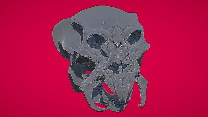 skull face 3D Model