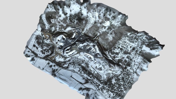 Modele 3D - SOMATRA - Fau de Peyre 3D Model