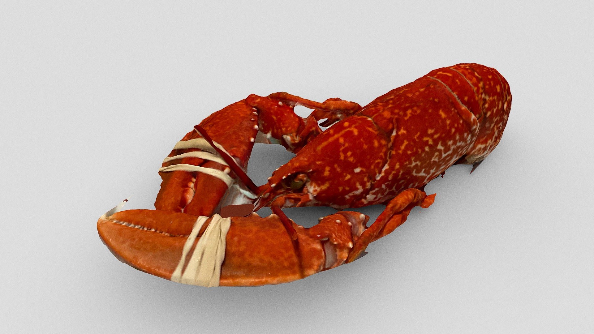 Cooked breton lobster