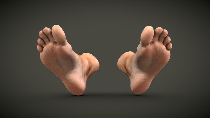 Female Feet 3D Model