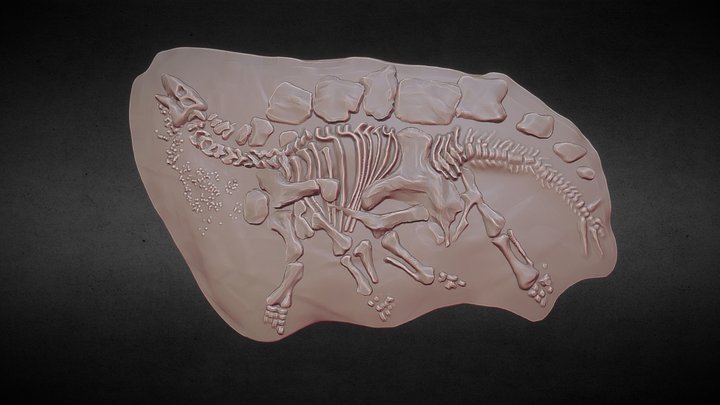 DINOSAUR Fossilised stegosaurus 3D model 3D Model