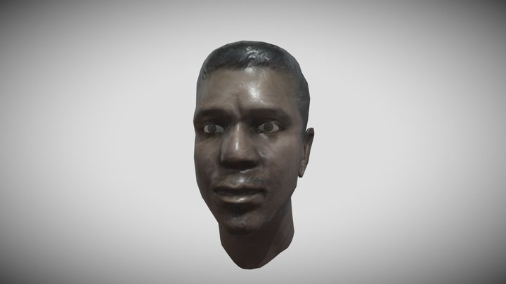 male01 face rigged – Modelo 3D gratuito STL