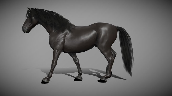 Black horse 2.0 3D Model