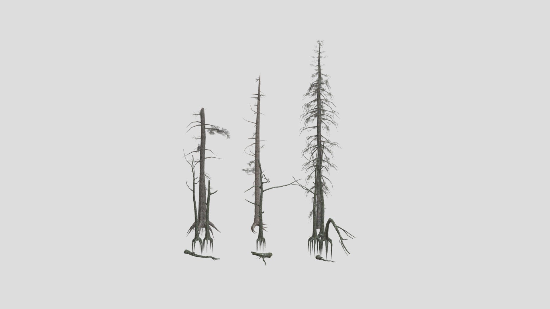 Darck Forest