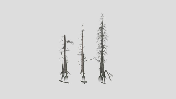 Darck Forest 3D Model