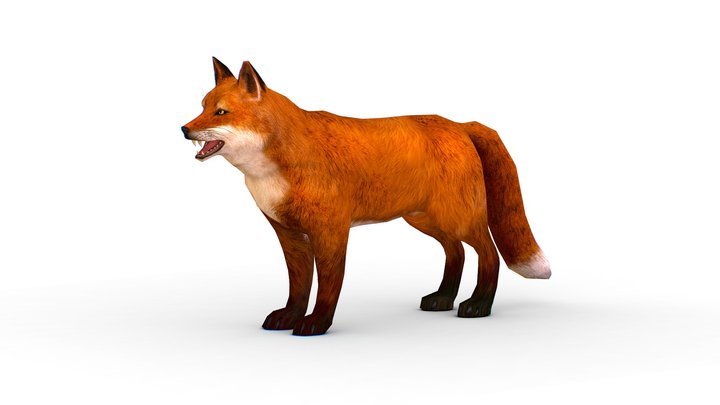 LowPoly Model Beautiful Red Fox 3D Model