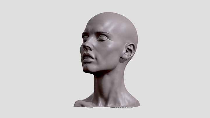 Female Head Anatomy 3D Model