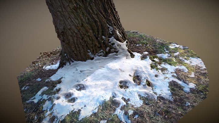 [3D-Scan] "Tree Stub" 3D Model
