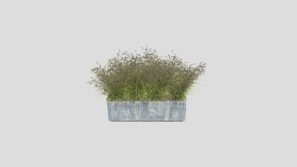 Autumn Breeze Ornamental Grass Planter