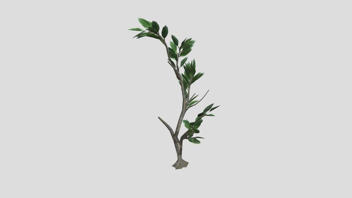 GTV mangrove grass C 3D Model