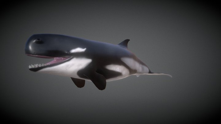 Livyatan (Oceanic testing 2 V1) 3D Model