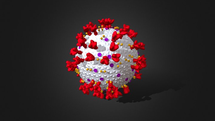 Novel Coronavirus | 2019-nCoV 3D Model