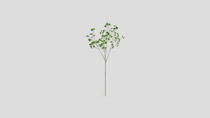 coin grass-L 3D Model
