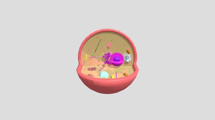 Laboratório do Câncer - Célula Eucariótica 3D Model