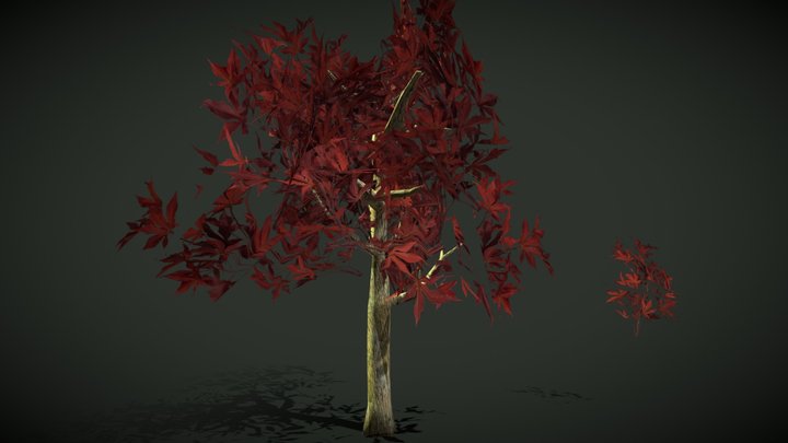 low polly japanese maple tree – Kostenloses 3D-Modell STL