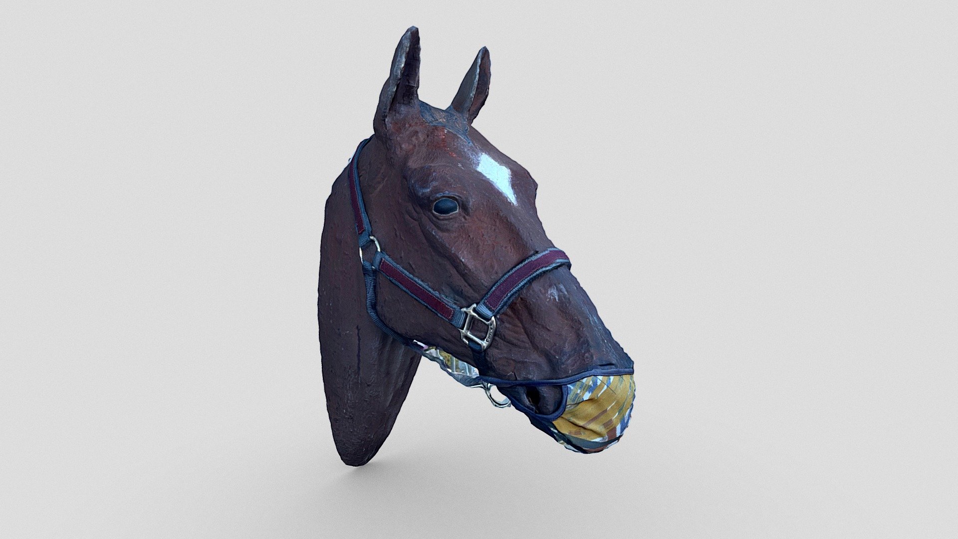 Day 328: Horse head @Point Reyes Station.