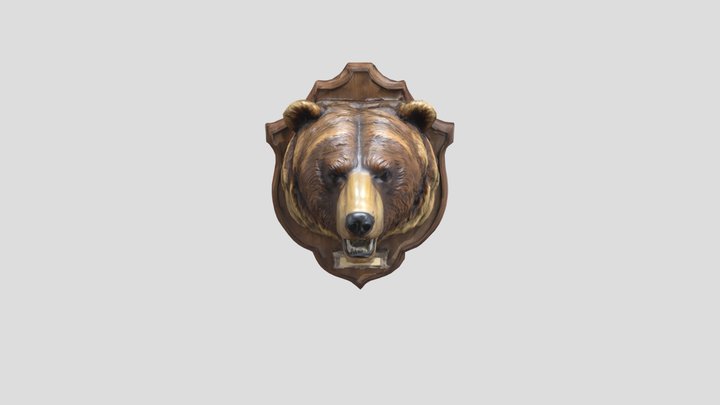bear trophy head