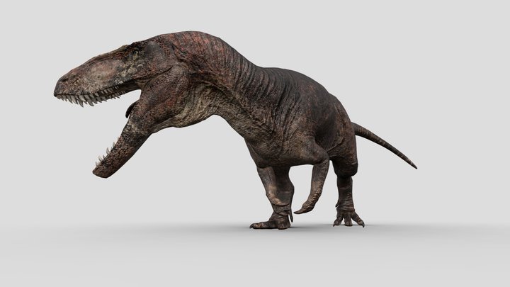 Torvosaurus 3D Model