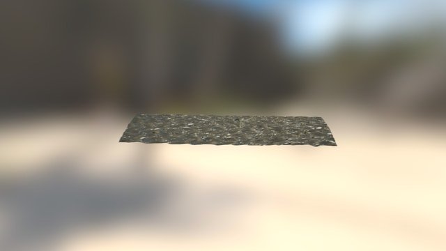 Shells and Ripples 3D Model