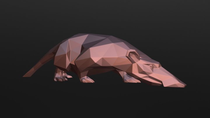 Rat 3D Model