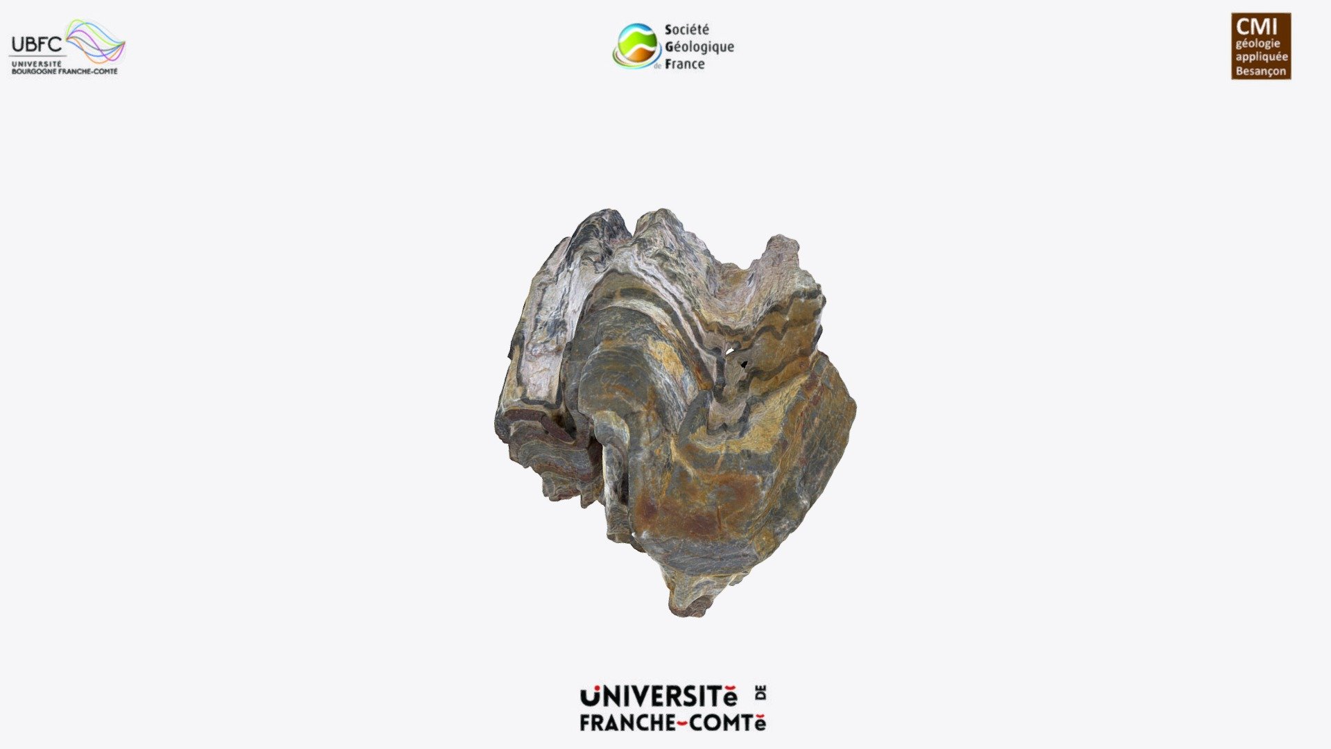 Concentric folds in silt / plis dans silt