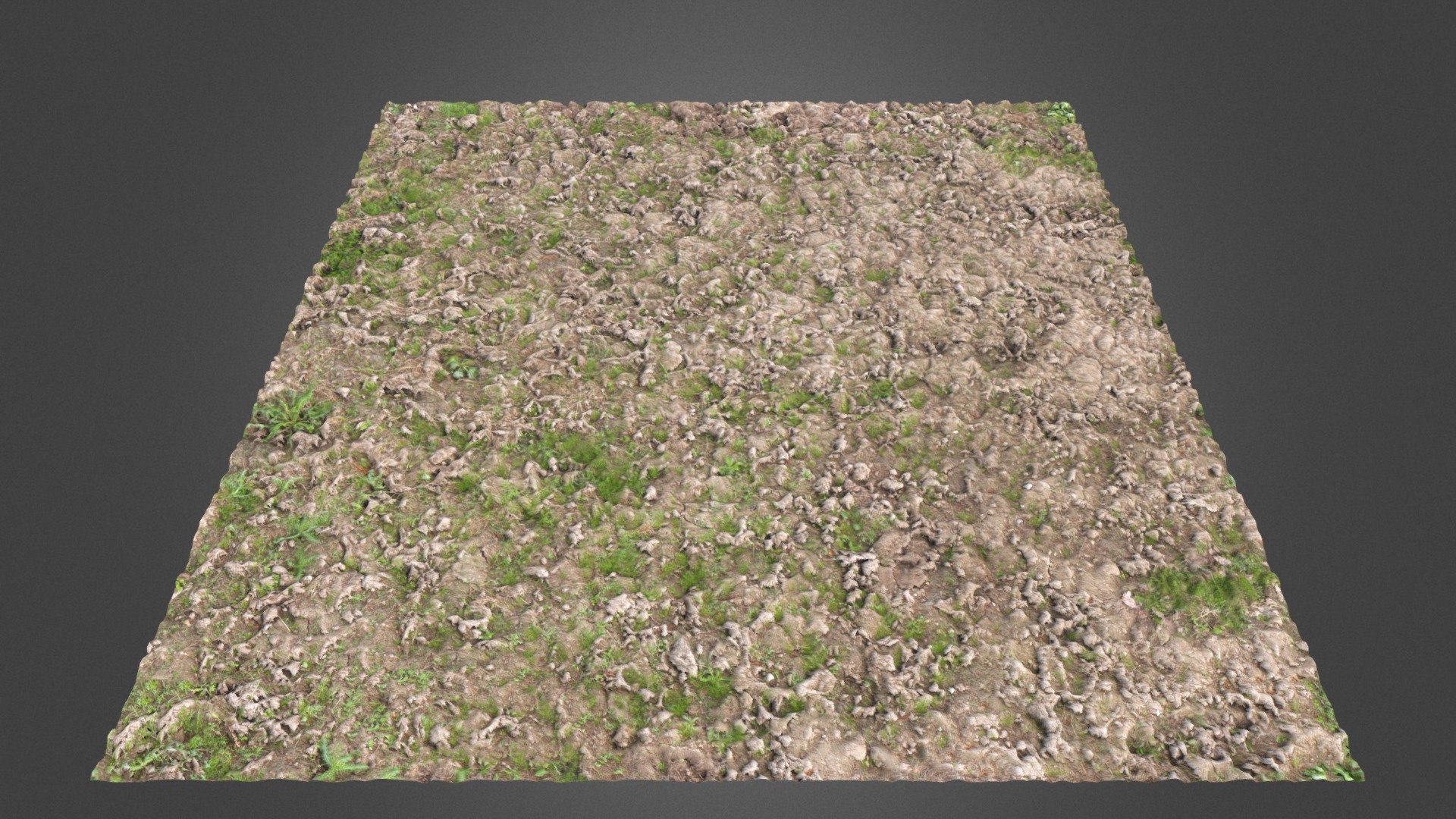 Grass Ground II - 3D model by ProjectNature [053ab82] - Sketchfab