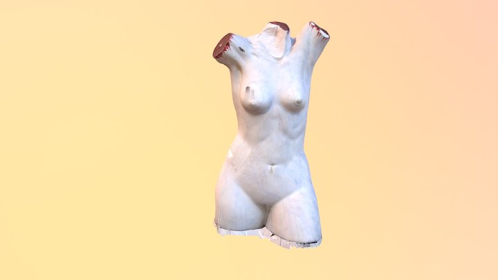 Busto 3D Model