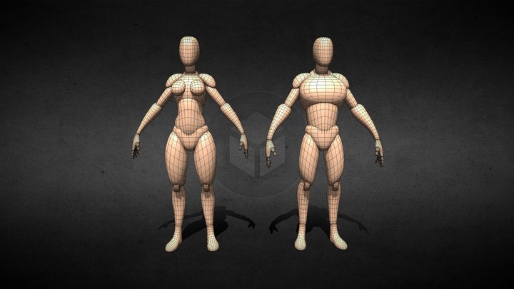 Base Mesh Male and Female 3D Model