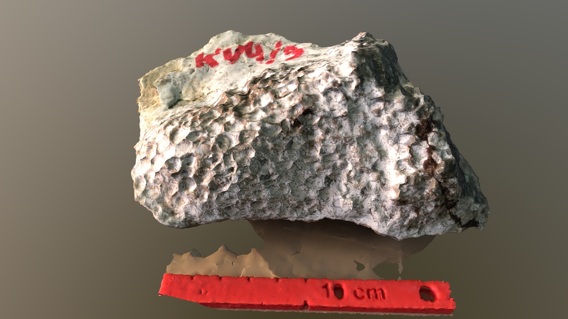 3D model Michelinia - This is a 3D model of the Michelinia. The 3D model is about a rock with a red and white label.