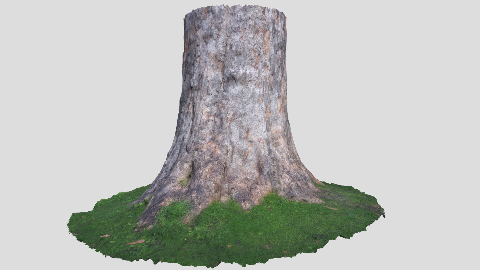 SCO-EC-singles-tree