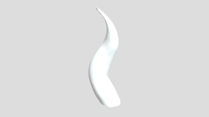 Left Horn 3D Model