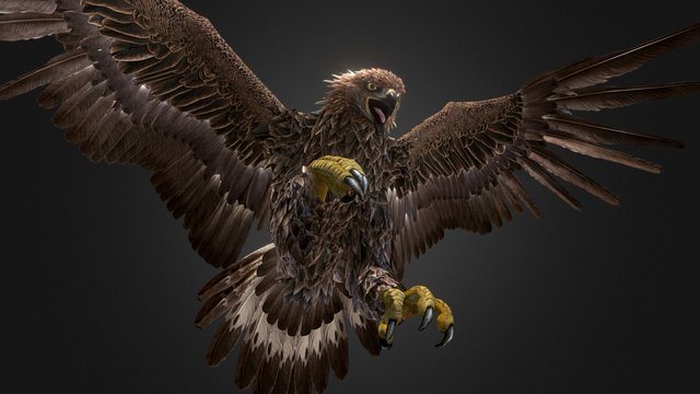 Great Eagle 3D Model