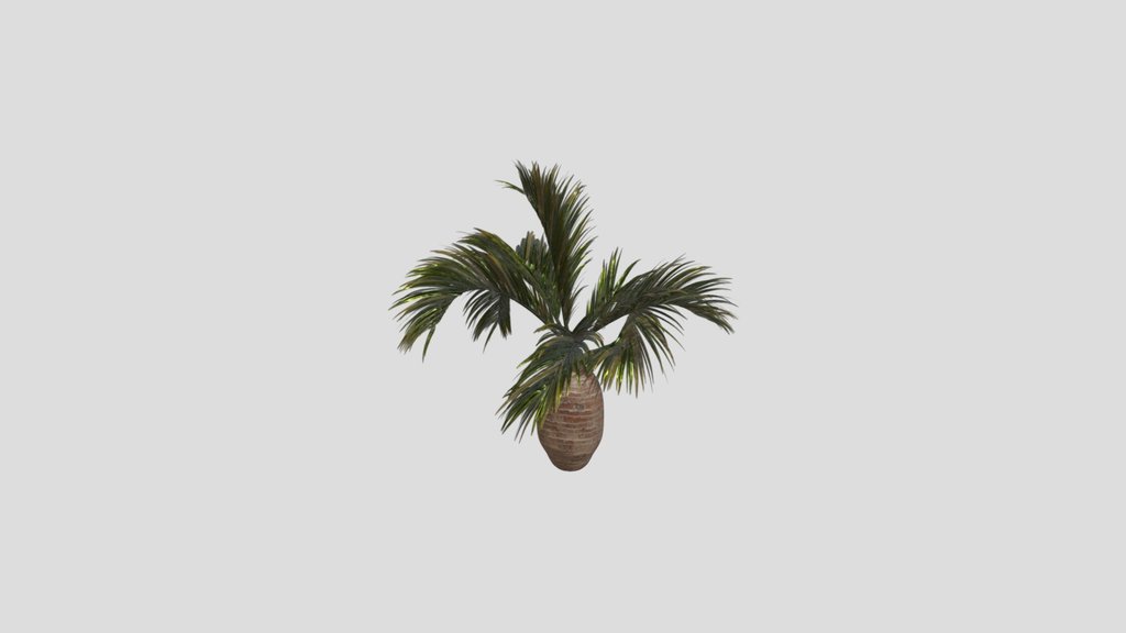 Palm A