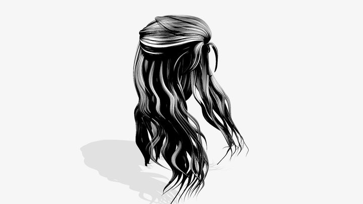 Dense Long Female Hair 3D Model