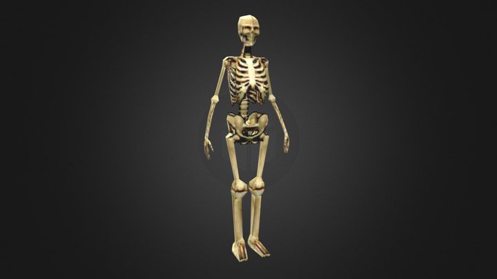 Low Poly PSX Skeleton 3D Model