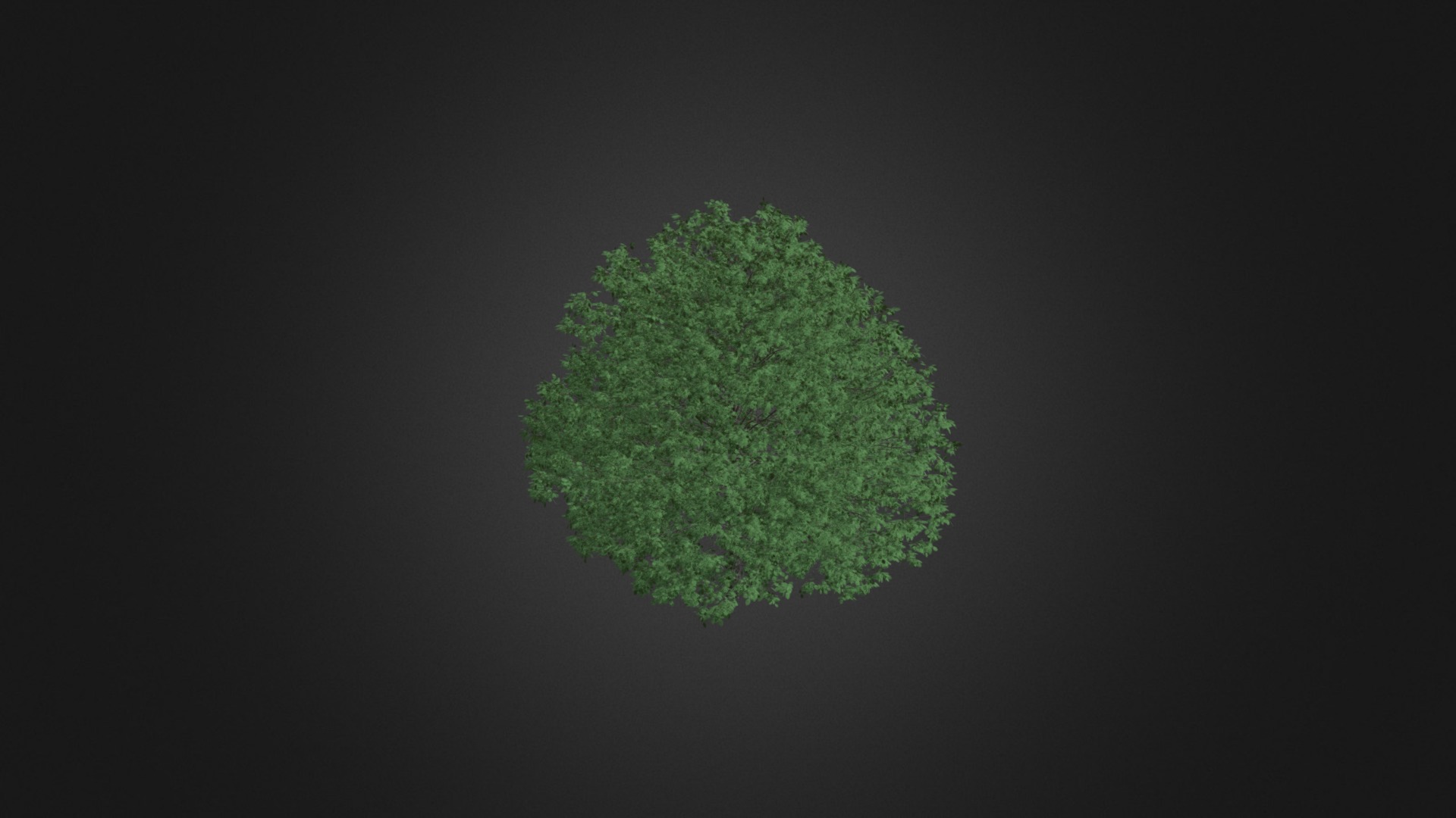 3D model Common Hornbeam Tree (Carpinus betulus) 10.7m - This is a 3D model of the Common Hornbeam Tree (Carpinus betulus) 10.7m. The 3D model is about background pattern.