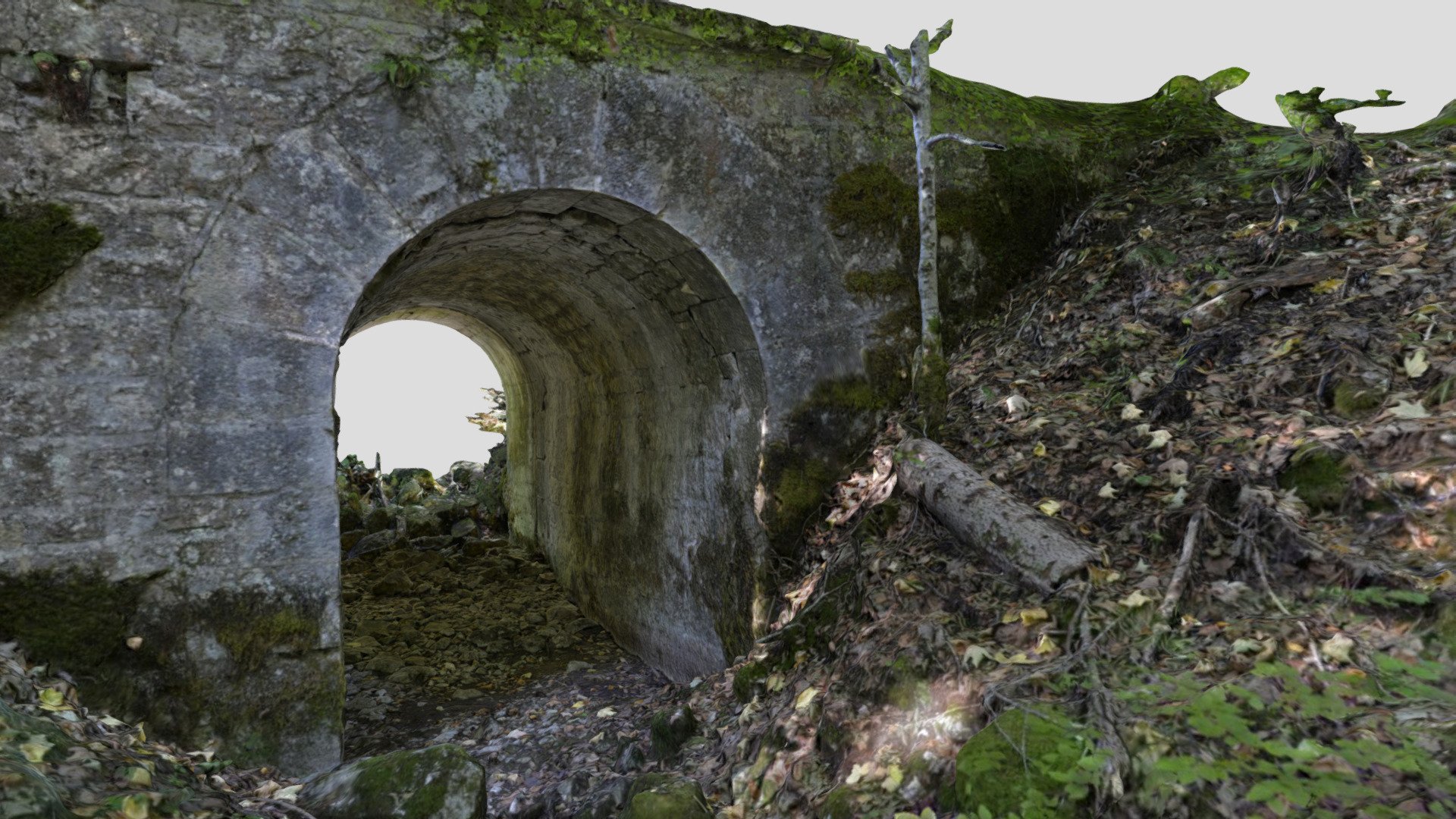 pont