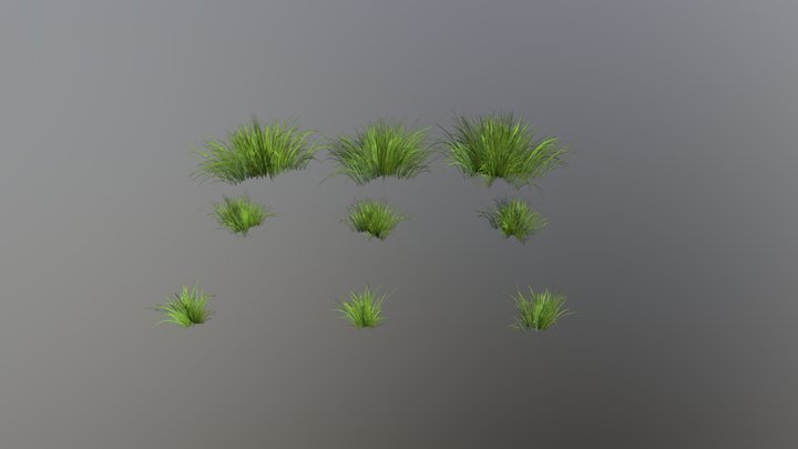 Grass (pack of 9 vars, lowpoly, game ready) 3D Model