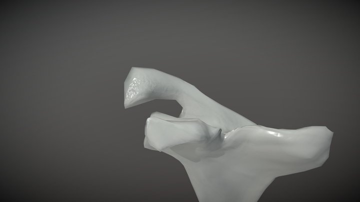 finalscap 3D Model