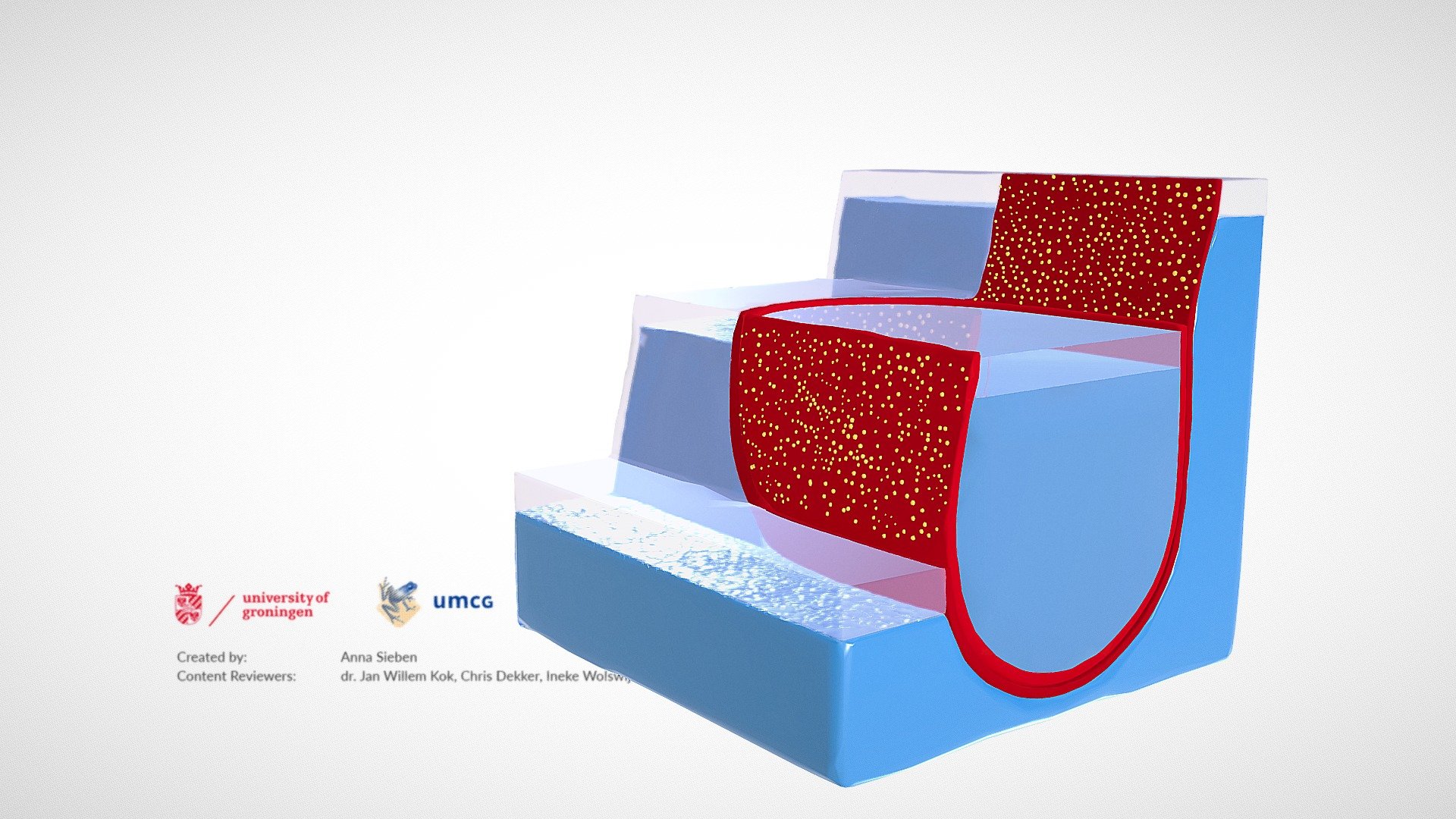 Freeze fracture revealing hidden cell structures